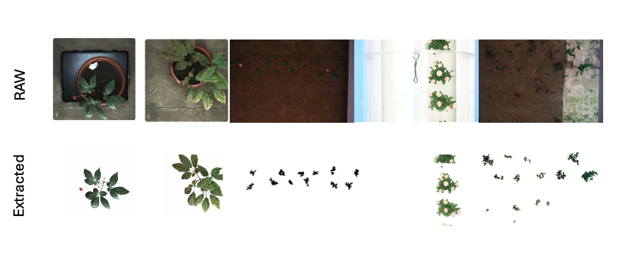 Botanical Extracted Results