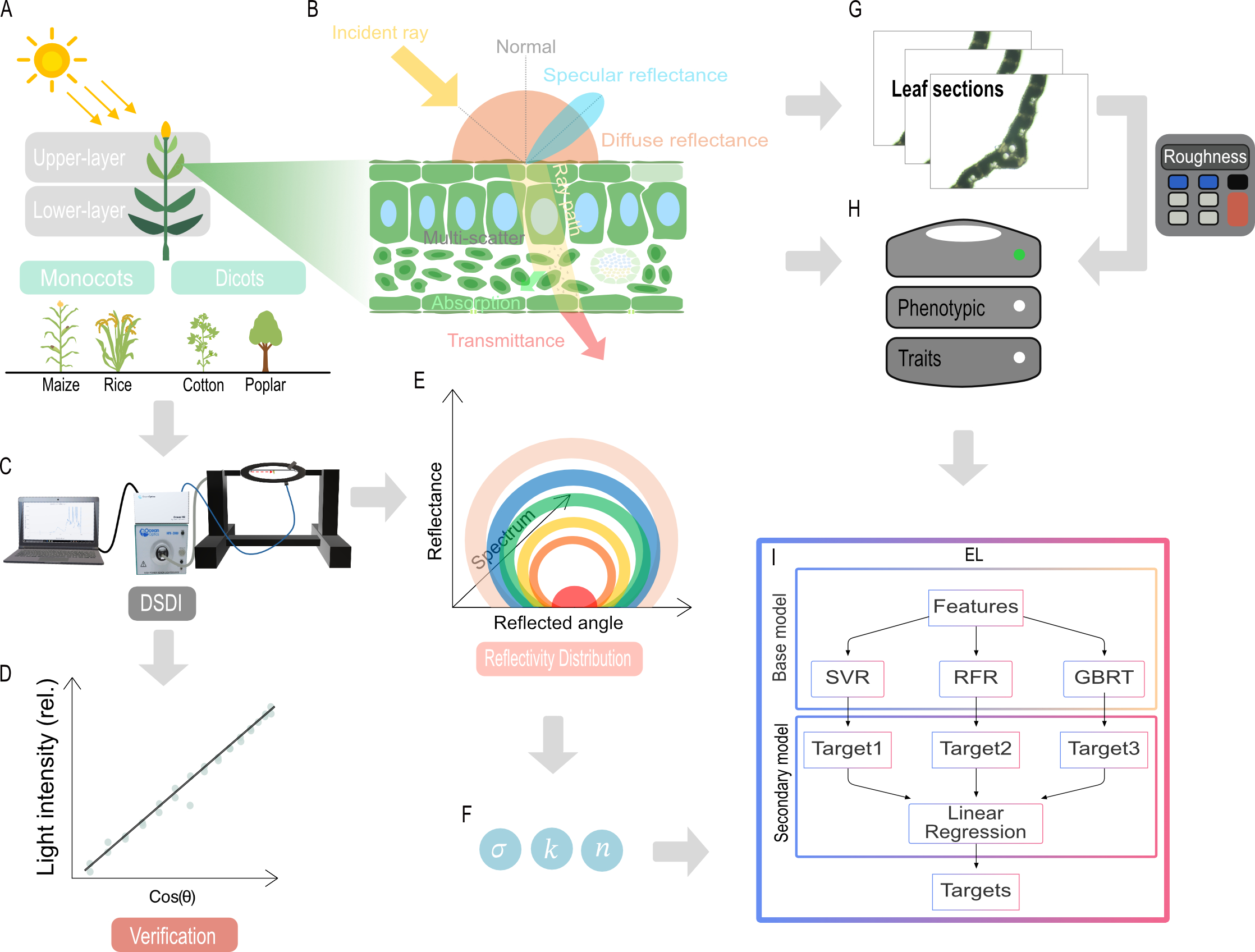 Directional Spectrum Detection Instrument and modeling workflow